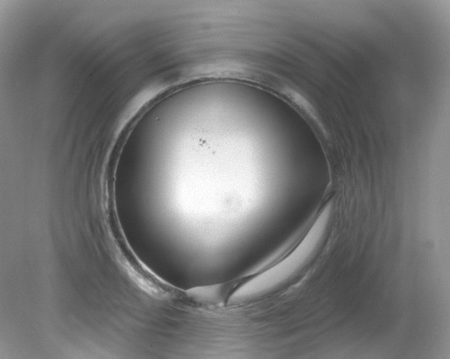 X0000081621082200701291447