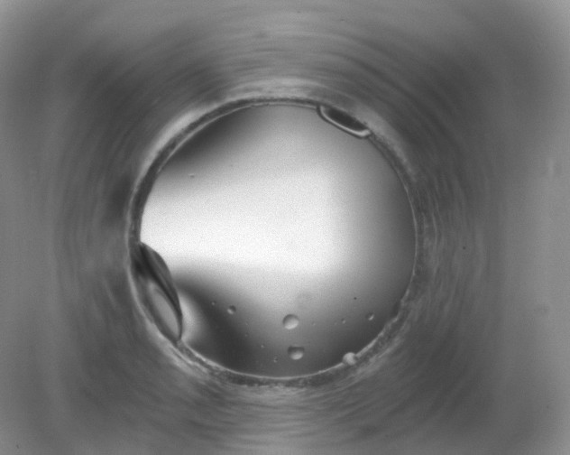 X0000081621085200701291447