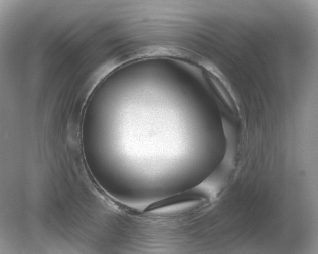 X0000081621089200701291447