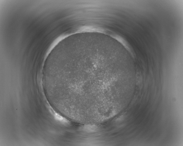 X0000081621094200701291446