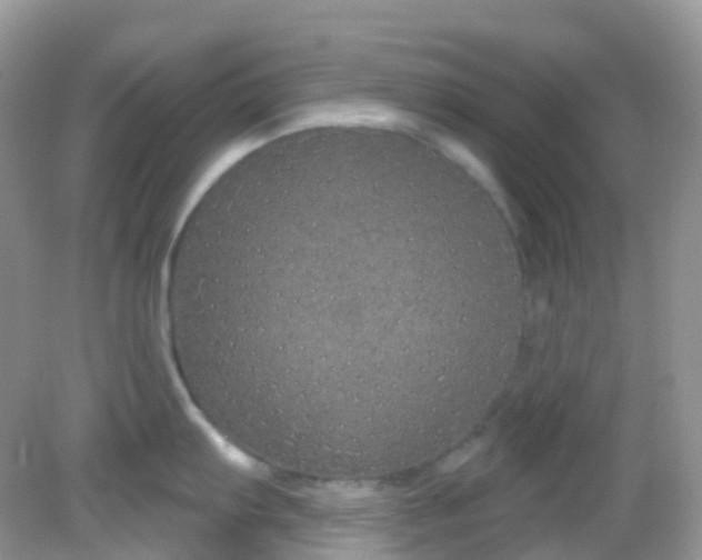 X0000081621103200701291446
