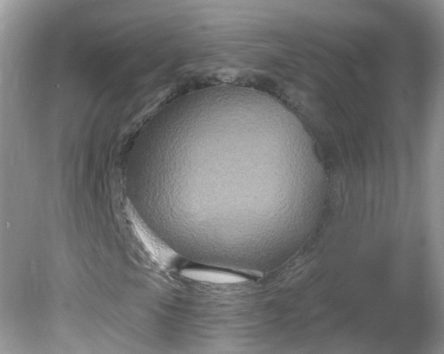 X0000081621105200701291445