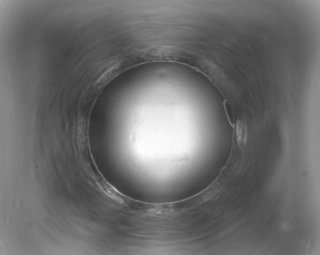 X0000081621107200701291445