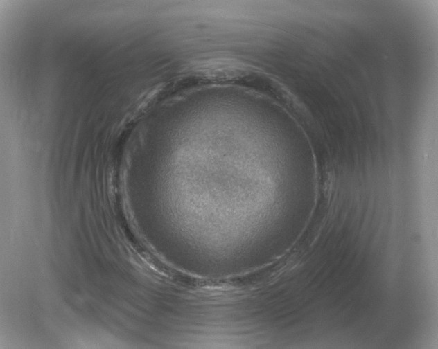 X0000081621108200701291446