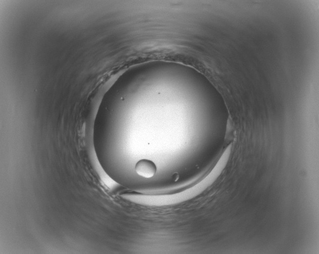 X0000081621109200701291446