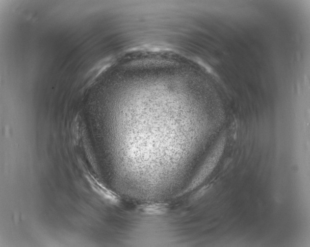 X0000081621110200701291446
