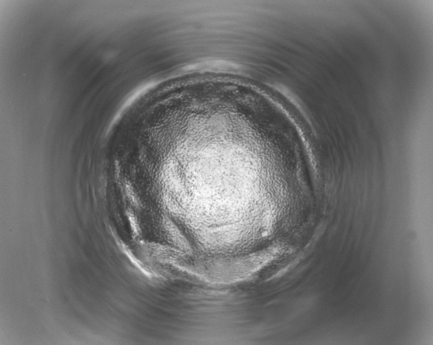 X0000081621115200701291446