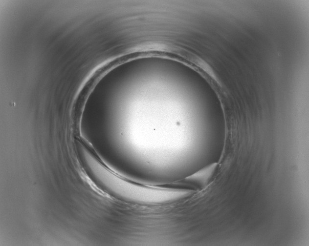 X0000081621116200701291446