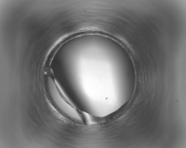 X0000081621118200701291446