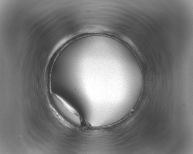 X0000081621122200701291446