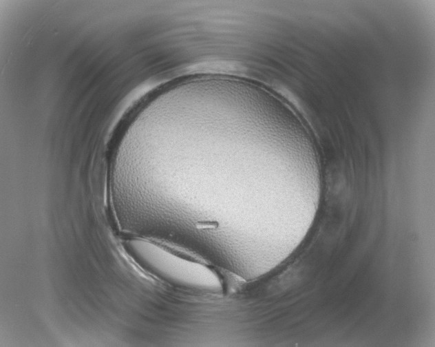 X0000081621123200701291446