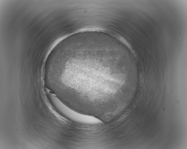 X0000081621124200701291446