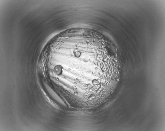 X0000081621125200701291446