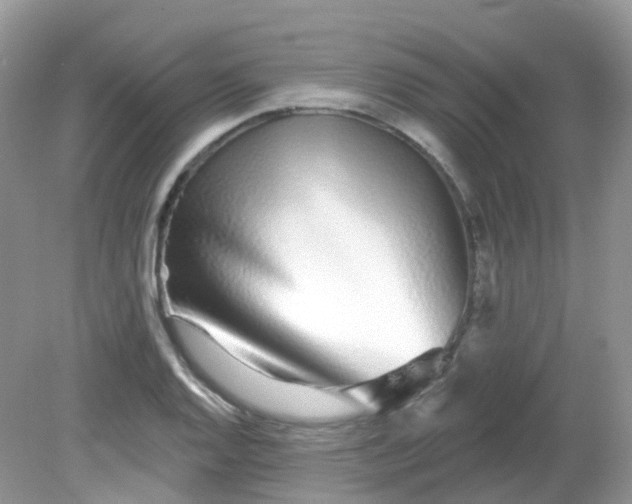 X0000081621128200701291446