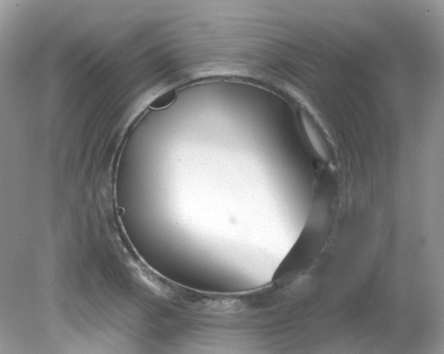 X0000081621129200701291446