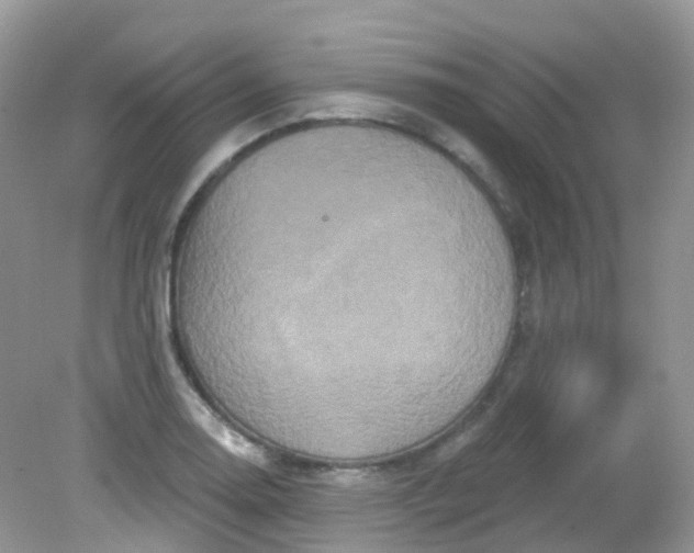 X0000081621130200701291446