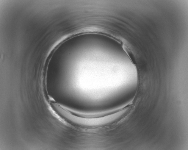 X0000081621134200701291446
