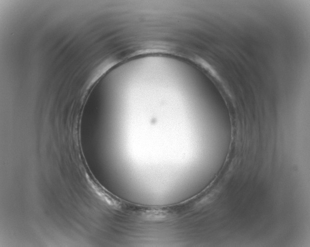 X0000081621137200701291446