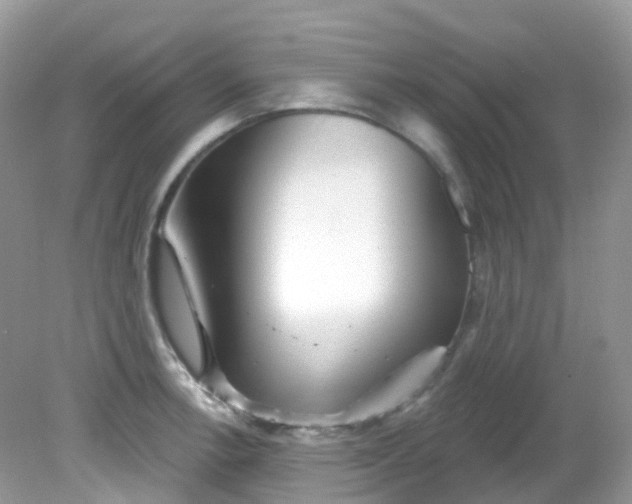X0000081621138200701291446