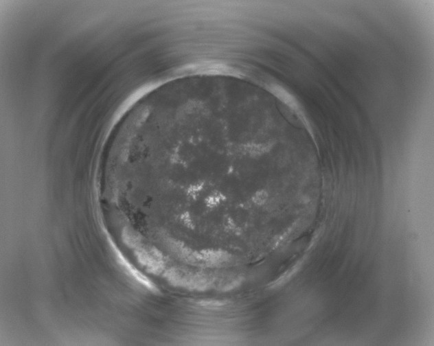 X0000081621141200701291446