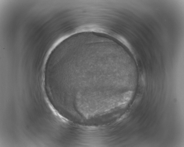 X0000081621144200701291446