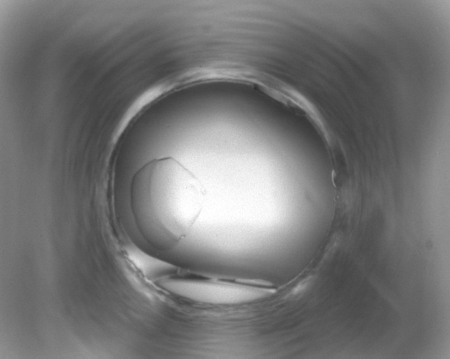 X0000081621146200701291446
