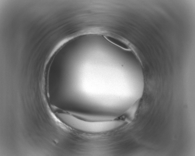 X0000081621147200701291446