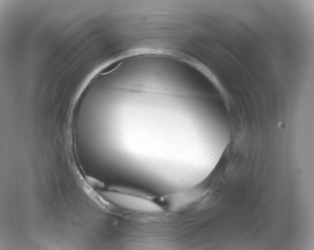 X0000081621148200701291446