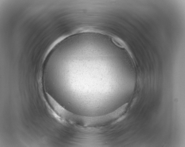 X0000081621149200701291446