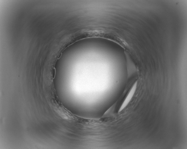 X0000081621153200701291445