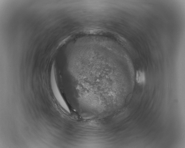 X0000081621155200701291445