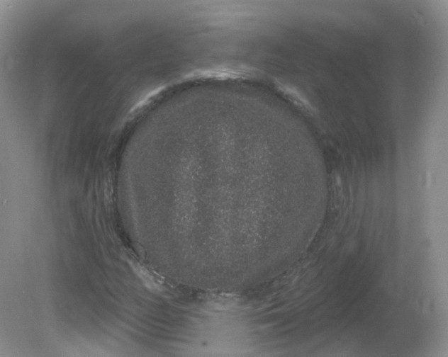 X0000081621158200701291445