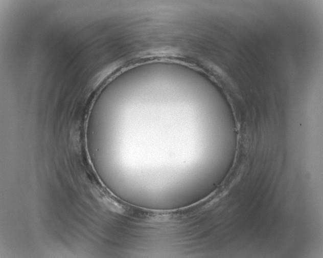 X0000081621162200701291445