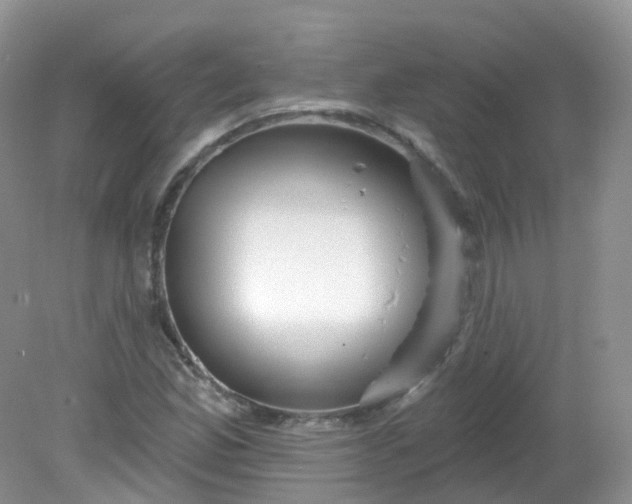X0000081621165200701291445