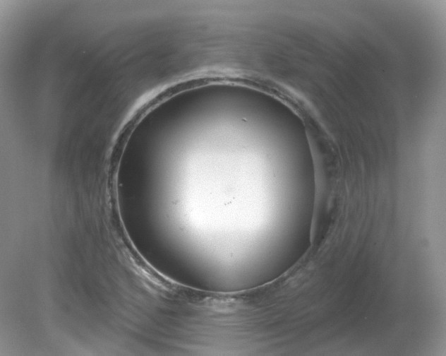 X0000081621168200701291445