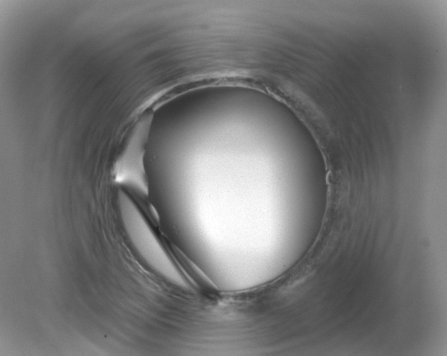 X0000081621169200701291445