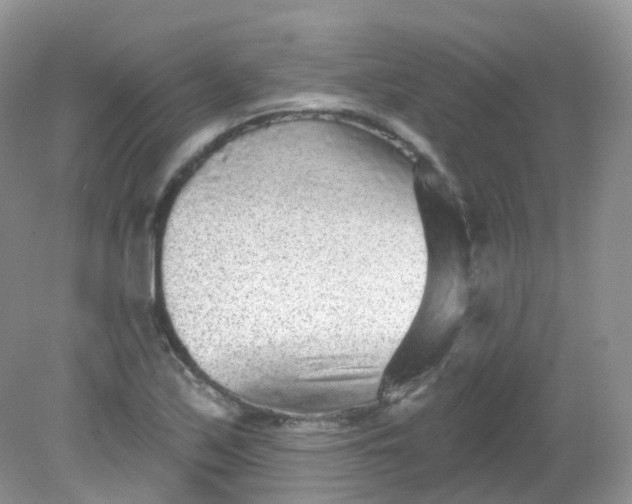 X0000081621171200701291445