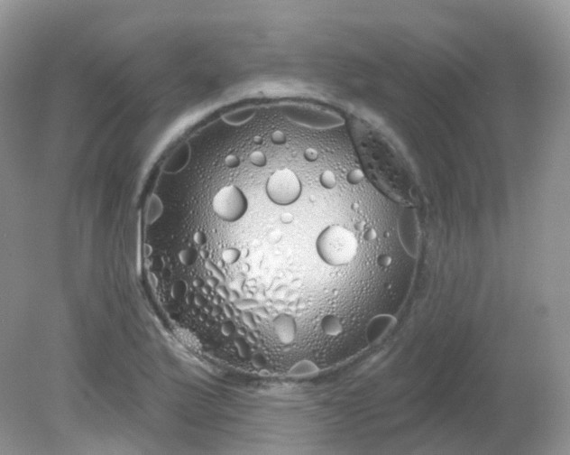 X0000081621175200701291445