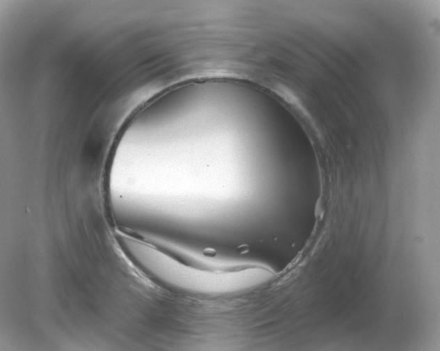 X0000081621181200701291445