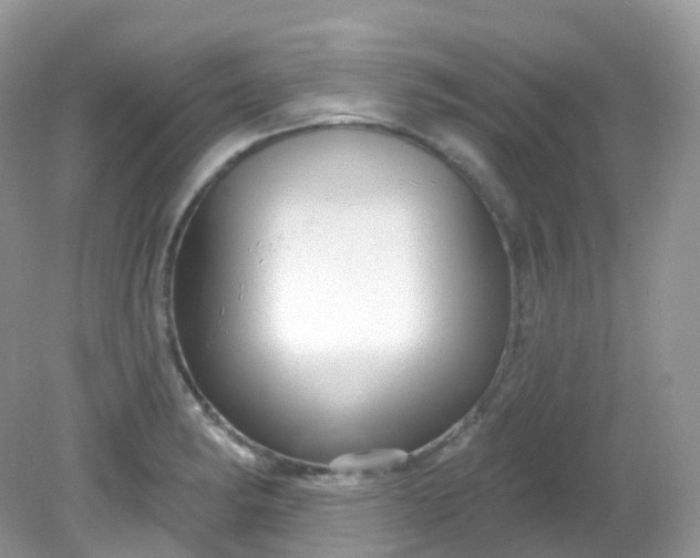 X0000081621182200701291445