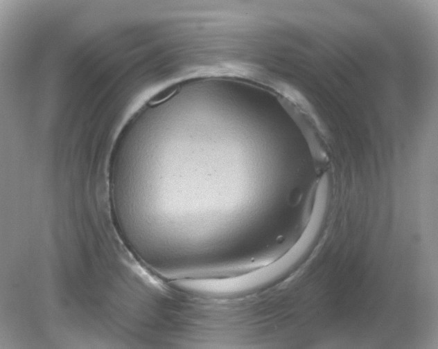X0000081621184200701291445