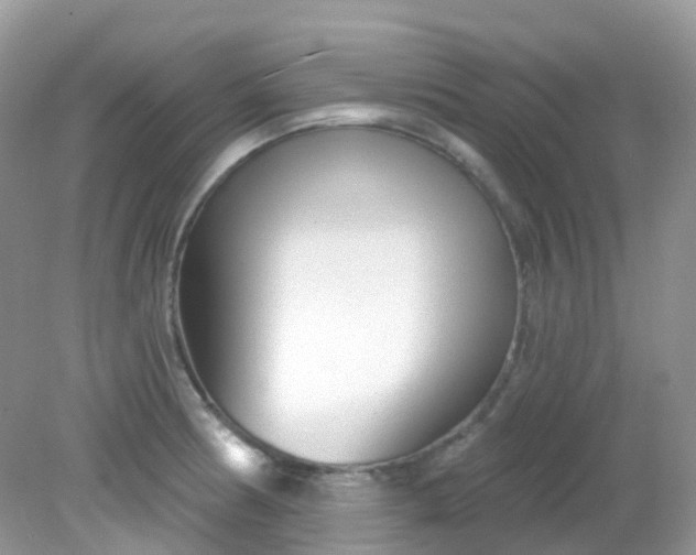 X0000081621186200701291445