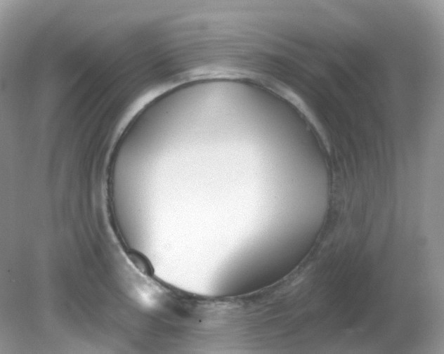 X0000081621187200701291445