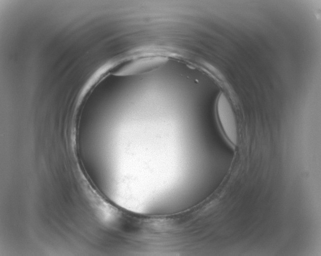X0000081621188200701291445