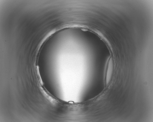 X0000081621189200701291445
