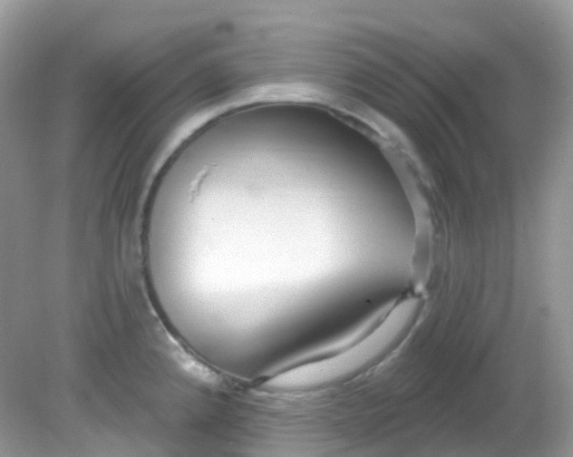 X0000081621192200701291445