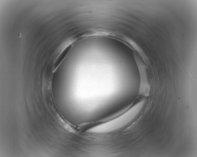X0000081621193200701291445