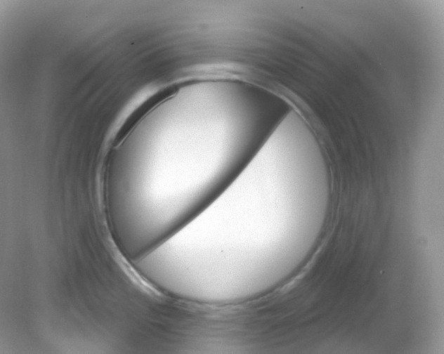 X0000081621196200701291445