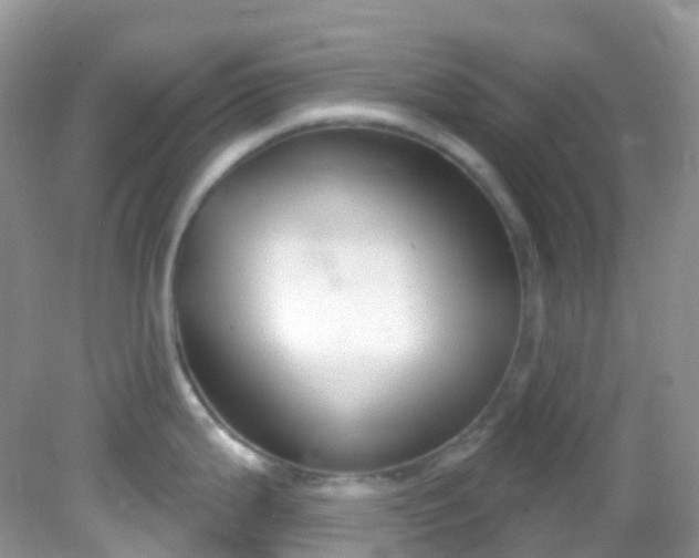 X0000081621199200701291445