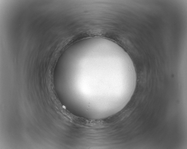 X0000081621201200701291444